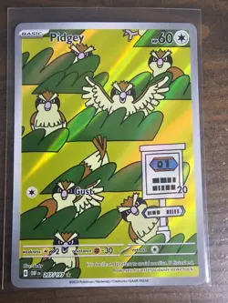 Pidgey IR 207/197 EN | Obsidian Flames OBF | Illustration Rare | Pokemon TCG - Image 3