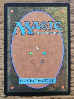 Traveling Chocobo (Borderless) (Chocobo Track Foil) Final Fantasy Foil MTG NM - Image 3