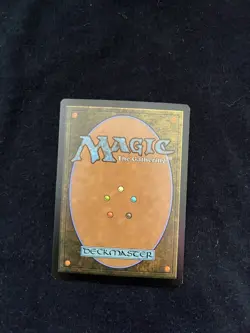 Magic the Gathering Sigarda's Aid 041 NM - Image 2