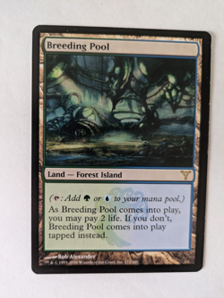 Breeding Pool Dissension MTG NM Free shipping with tracking - Image 1