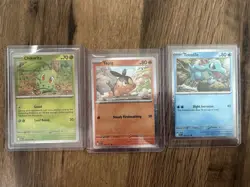 Pokemon TCG First Partner Pin Collection Promo Cards and Pin Bundle, Pack Fresh - Image 1