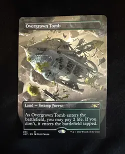 Overgrown Tomb Borderless Regular Unfinity Land Rare #284 EN - Image 1