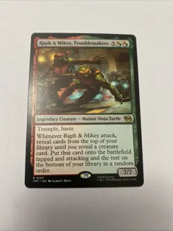 Raph & Mikey, Troublemakers Teenage Mutant Ninja Turtles Regular - Image 1