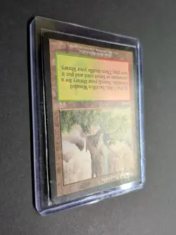 Wooded Foothills MTG Onslaught English MP Fetch Land! - Image 2