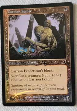 Magic The Gathering Scourge Carrion Feeder #59/143 Foil MTG TCG CCG - Image 1