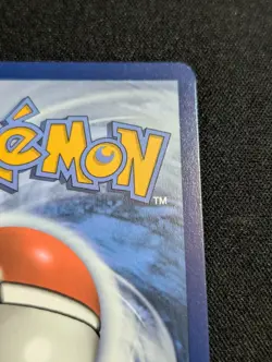 Charcadet 022 Black Star Promo - Pokemon Center Stamp - Mega Evolution - NM - Image 5