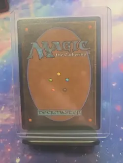 Petrified Field (0077) - Foil - Borderless M MTG Edge of Eternities - Image 2