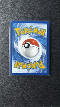 N's Zorua SVP EN 189 Sv: Scarlet & Violet Promo Holo English 70 HP Basic Dark - Image 2