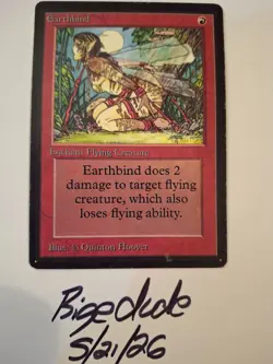 MTG Beta Earthbind - See Pics for Condition - bigedude - Image 1