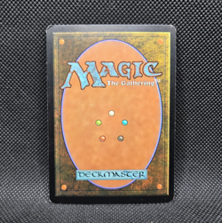 MTG Snow-Covered Forest (Coldsnap) 155/155 FOIL (NM/LP) - Image 2