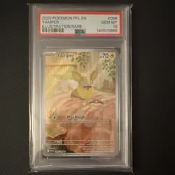 Pokemon Yamper (2025) Phantasmal Flames 099/094 Illus. Rare Holo PSA 10 - Image 1