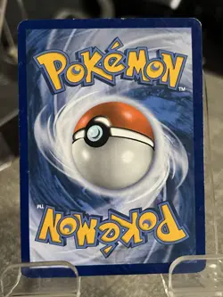 2019 Pokemon Sun and Moon Eevee GX Black Star Promo SM233 Q RAIS Full Art SSP - Image 2