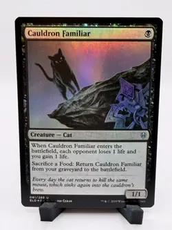 Cauldron Familiar (Foil) (ELD) (U) Magic: The Gathering - Image 1