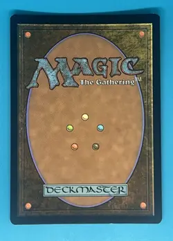 Mtg Secret Lair #5 Snow-Covered Forest Foil - Image 2