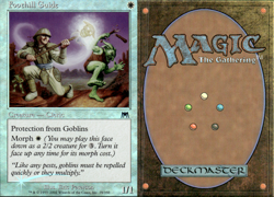 Magic the Gathering -MTG- Foothill Guide Foil - Image 1