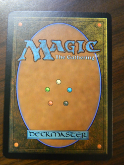MTG FNM FOIL Armadillo Cloak (2006) Near Mint Condition - Image 2