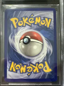Pokemon - Kyogre ex - Black Star Promo - EX Collector's Tin - ITA - BGS 8.5 - Image 4