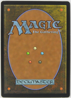 MTG Return to Ravnica Deathrite Shaman Signed Steve Argyle LP - Image 2