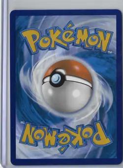 Charcadet 022 Holo Promo ME: Mega Evolution Promo Pokemon Near Mint - Image 2