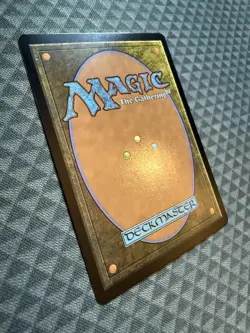 MTG Forest #0291 Foil Basic Land Tarkir: Dragonstorm (TDM) - Image 4