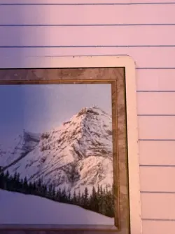 MTG Taiga Revised - Image 3