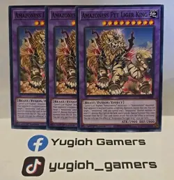 YUGIOH AMAZONESS PET LIGER KING X3 COMMON DABL LIGHT PLAYED - Image 1