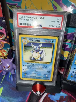 2 SLABS! Pokemon Wartortle Base Set 42/102 PSA 8 1999 WOTC- PLUS 2023 JPN HOLO - Image 2