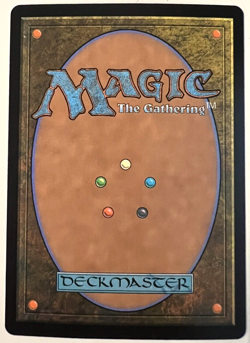 MTG Magic The Gathering Polluted Delta Zendikar Rising - Image 2