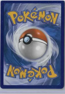 Litten 044 Holo Promo ME: Mega Evolution Promo Pokemon Near Mint - Image 2