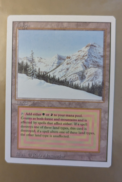 Taiga LP/NM - English - Revised Edition - Vintage - Image 1