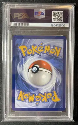 Pokemon Feraligatr 213 Scarlet & Violet Promo Illustration Contest 2024 PSA 10 - Image 2