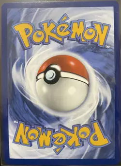 Mega Camerupt EX 022 /132 ME01: Mega Evolution Illustration Rare Pokemon Card - Image 2