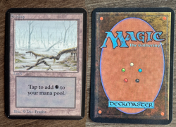 Magic: the Gathering MTG Basic Land Island/Plains/Swamp Alpha Edition mana VG-NM - Image 5