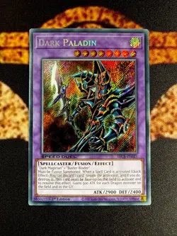 YUGIOH • DARK PALADIN • SECRET RARE • SBCB-EN021 • 1st ED • SPEED DUEL • VLP - Image 1