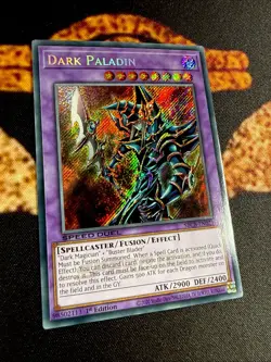 YUGIOH • DARK PALADIN • SECRET RARE • SBCB-EN021 • 1st ED • SPEED DUEL • VLP - Image 4