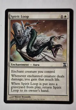 Spirit Loop Time Spiral Regular - Image 1