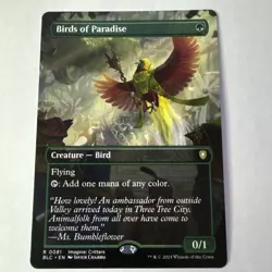 Birds of Paradise (Borderless) Commander: Bloomburrow NM - Image 1