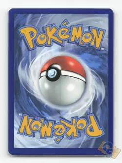 Pokemon TCG - Tornadus 210 Near Mint Holo Promo Scarlet & Violet Promo - Image 2