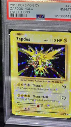 HEAVY HOLO BLEED ERROR Pokemon Zapdos 42/108 XY Evolutions PSA 8 - Image 1
