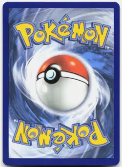 Chimchar 012/025 Promo McDonald's 25th Anniversary Promos Pokemon Near Mint - Image 3