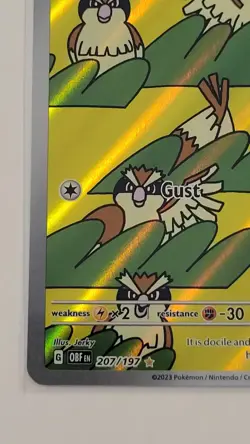 Pokemon TCG Obsidian Flames Pidgey 207/197 & Pidgeotto 208/197 Card Lot - Image 4
