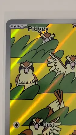 Pokemon TCG Obsidian Flames Pidgey 207/197 & Pidgeotto 208/197 Card Lot - Image 5