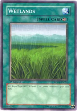 Wetlands - LODT-EN054 - Common - Unlimited Edition - Moderately Played - Image 1