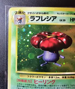 Vileplume Japanese Jungle Holo LP - Pokemon TCG - Image 2