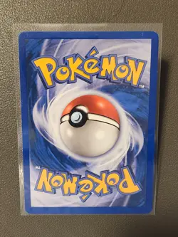 Torchic - 73/109 - Common LP, English Pokemon EX Ruby and Sapphire - Image 2