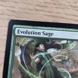 Evolution Sage War of the Spark Creature Elf Druid Green Uncommon 2019 - Image 2