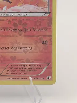 Growlithe RC4/RC25 - Legendary Treasures: Radiant Collection Holo - Pokemon TCG - Image 5