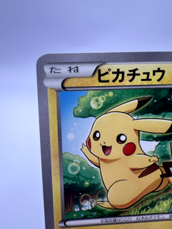 Pokemon Card Pikachu 001/XY-P Classroom Participation Promo 2013 Japanese - Image 2