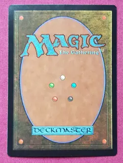 Magic The Gathering ASIA PACIFIC LAND PROGRAM APAC FOREST CHINA blue pack MTG - Image 2