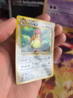 Pokemon Karte Card Vending expansion sheet glossy japanese Pidgeotto Tauboga NM - Image 3